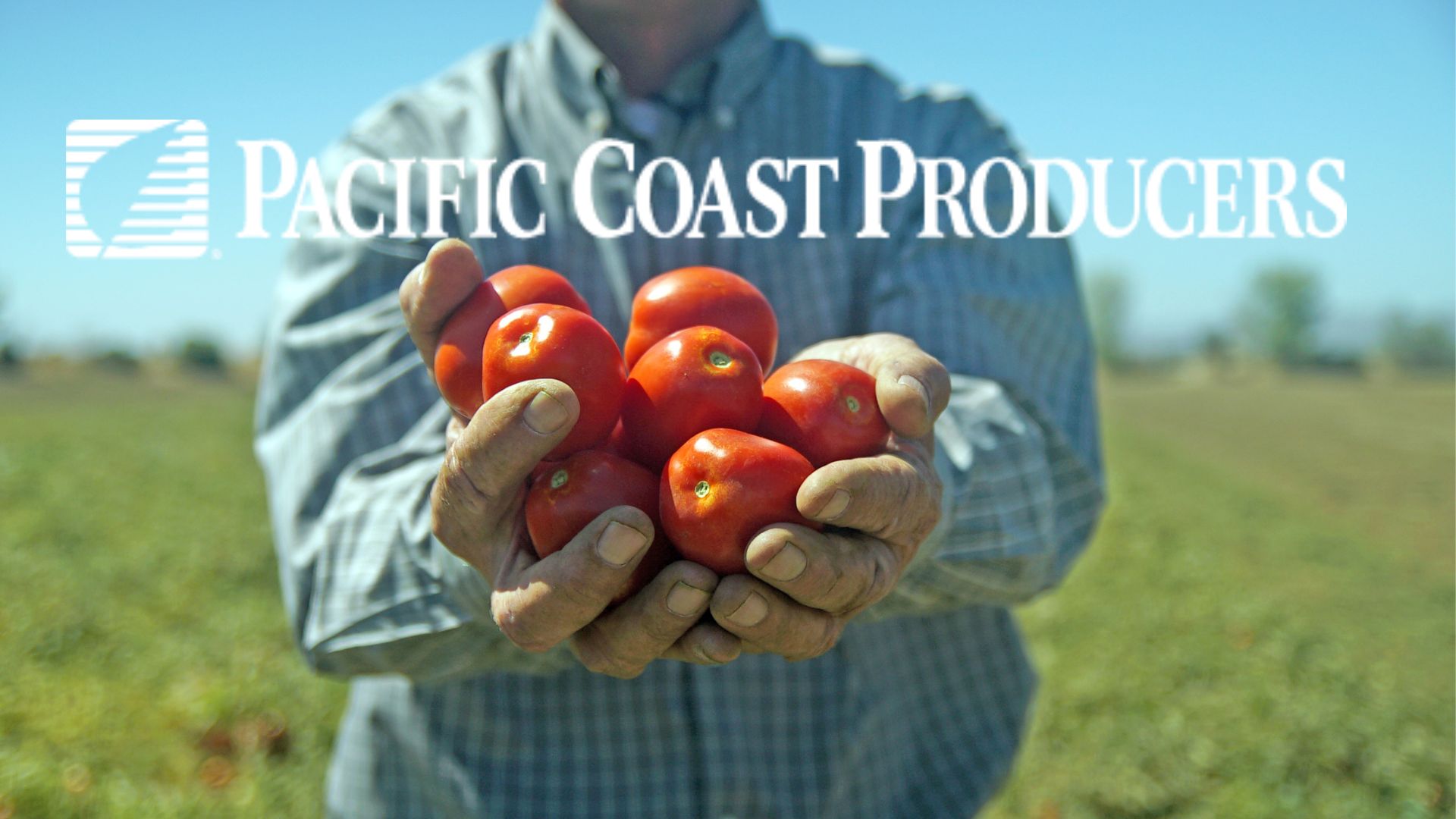 TPWC Member Highlight Pacific Coast Producers Tomato Wellness