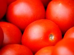 In new study, Illinois scientists trace activity of cancer-fighting tomato component