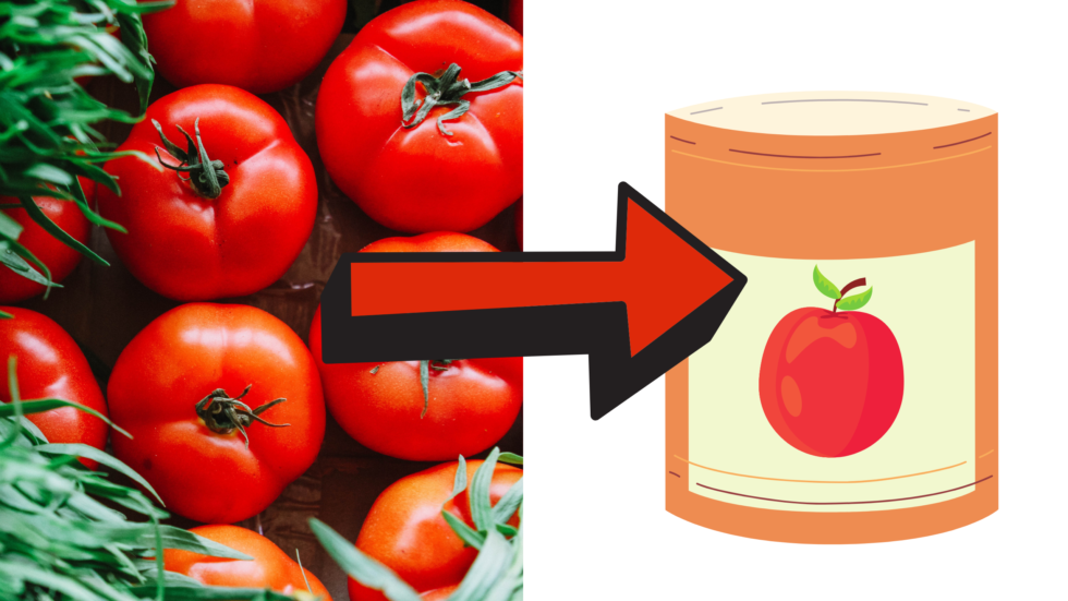 Are canned foods the ticket to a healthy diet? Tomato Wellness