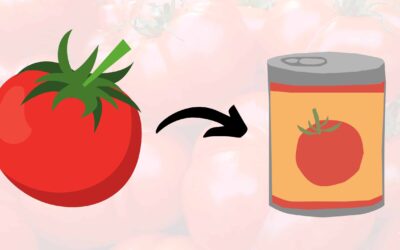 How to preserve tomatoes: what you need to know